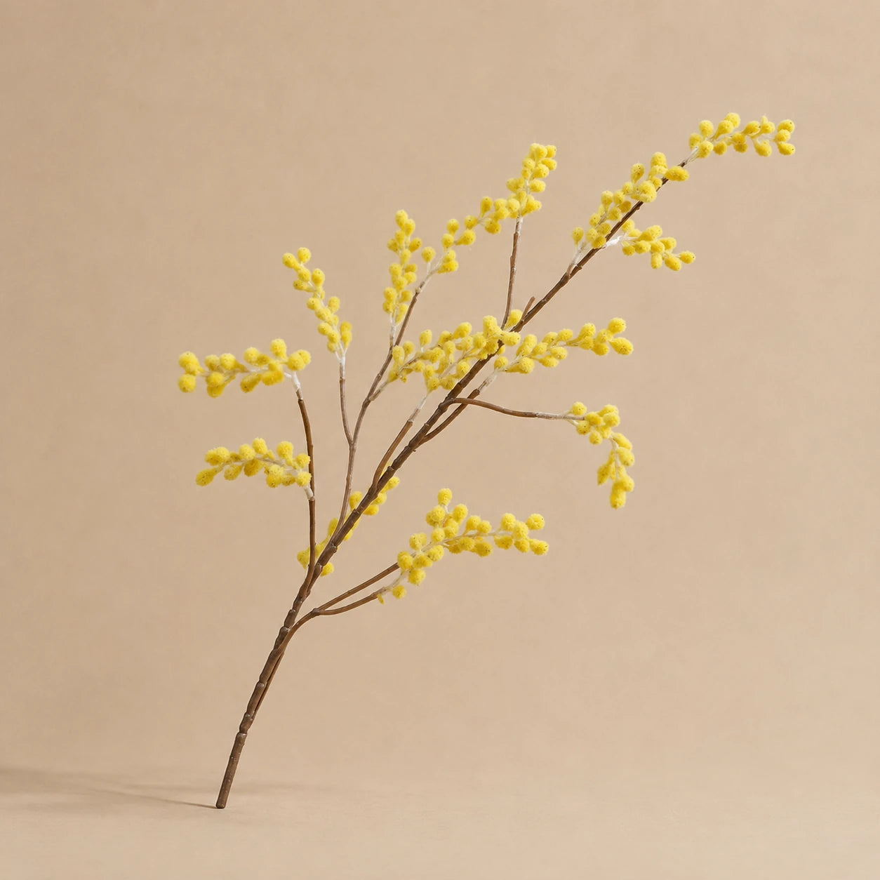 Seroise Mimosa Branch - Gele Mimosatak