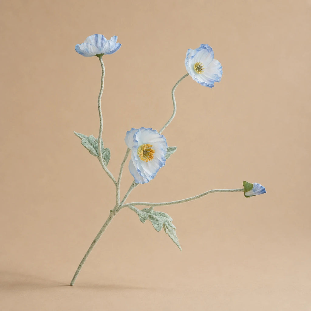 Seroise Azure Poppy - Lichtblauwe Klaproos