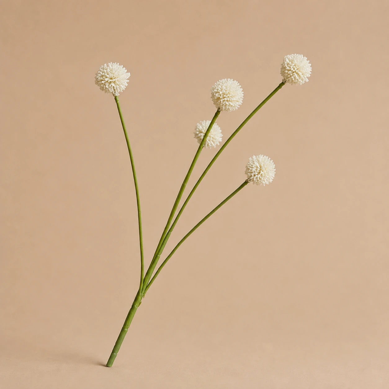 Seroise Snow Globe - Witte Craspedia