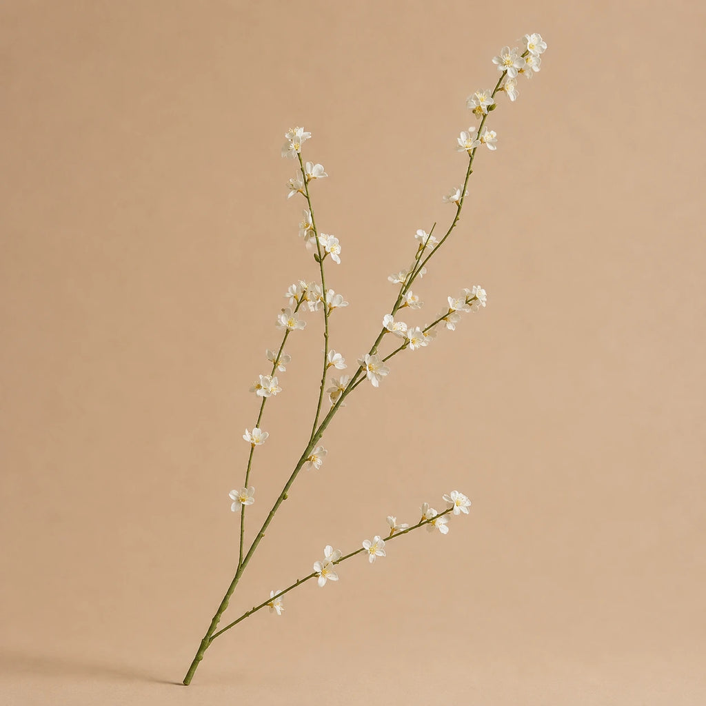 Seroise Ivory Blossom - Witte Bloesemtak