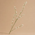 Seroise Ivory Blossom - Witte Bloesemtak