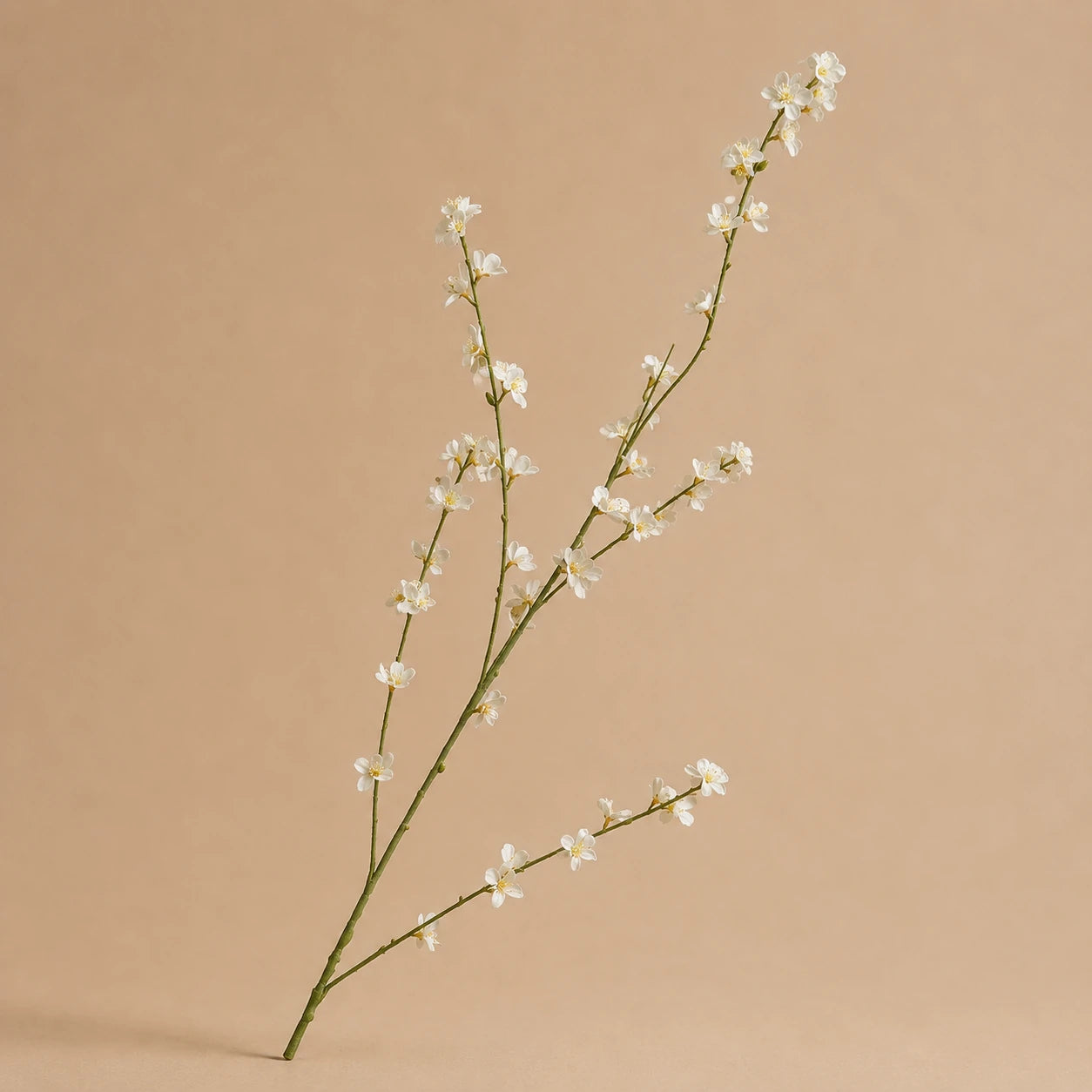 Seroise Ivory Blossom - Witte Bloesemtak