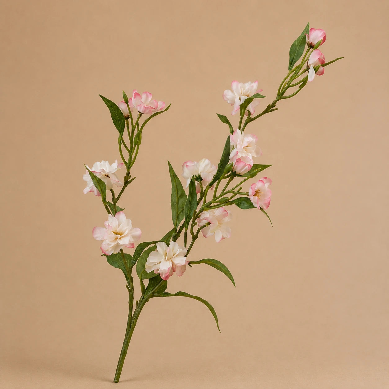 Seroise Blush Blossom - Roze Wildrose