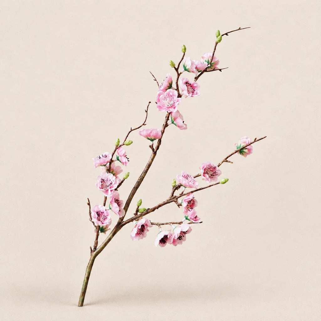 Seroise Sakura Branch - Japanse Sierkers