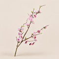 Seroise Sakura Branch - Japanse Sierkers