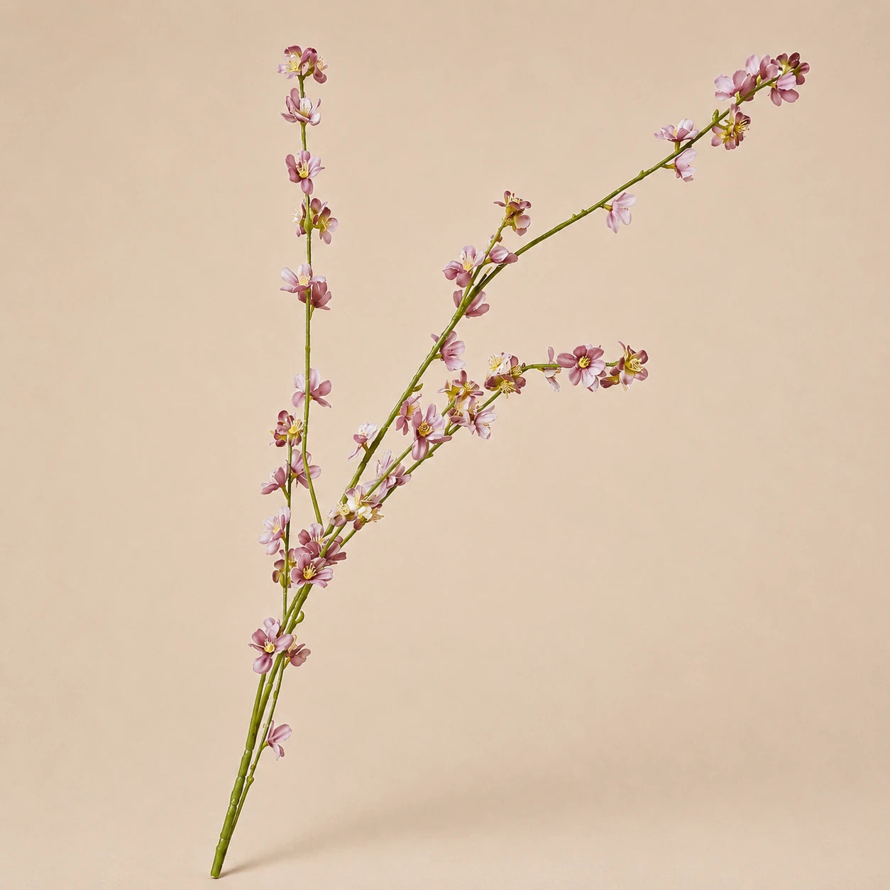 Seroise Blossom Spray Branch - Bloesem Tak