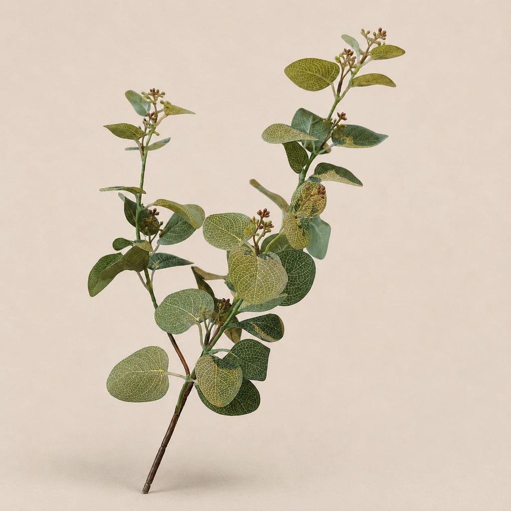 Seroise Eucalyptus Branch - Eucalyptustak