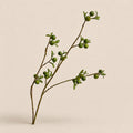 Seroise Orchard Branch - Groene Appeltak
