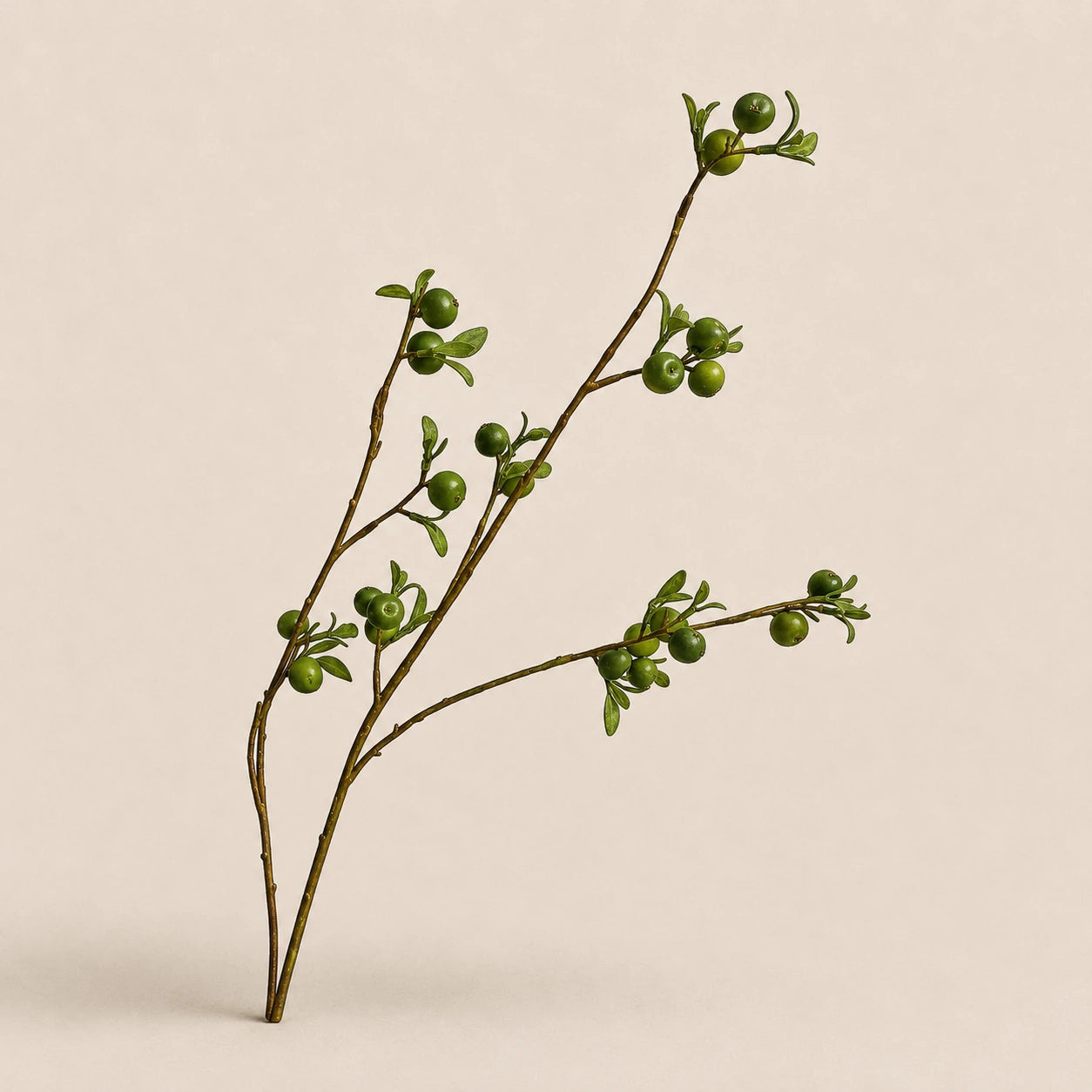 Seroise Orchard Branch - Groene Appeltak
