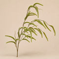 Seroise Amaranthus Branch - Groene Hangtak