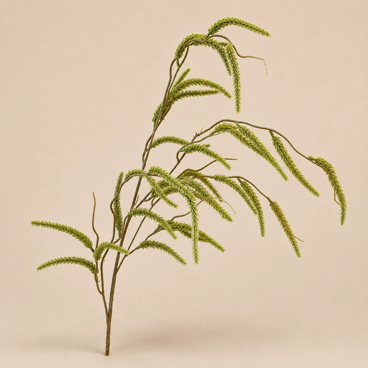 Seroise Amaranthus Branch - Groene Hangtak
