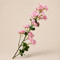 Seroise Jasmine Blossom Branch - Jasmijn Bloesem